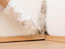 Best Environmental Consulting for Mold Prevention  in Pickerington, OH